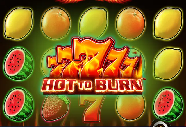 Hot to Burn — игровой автомат